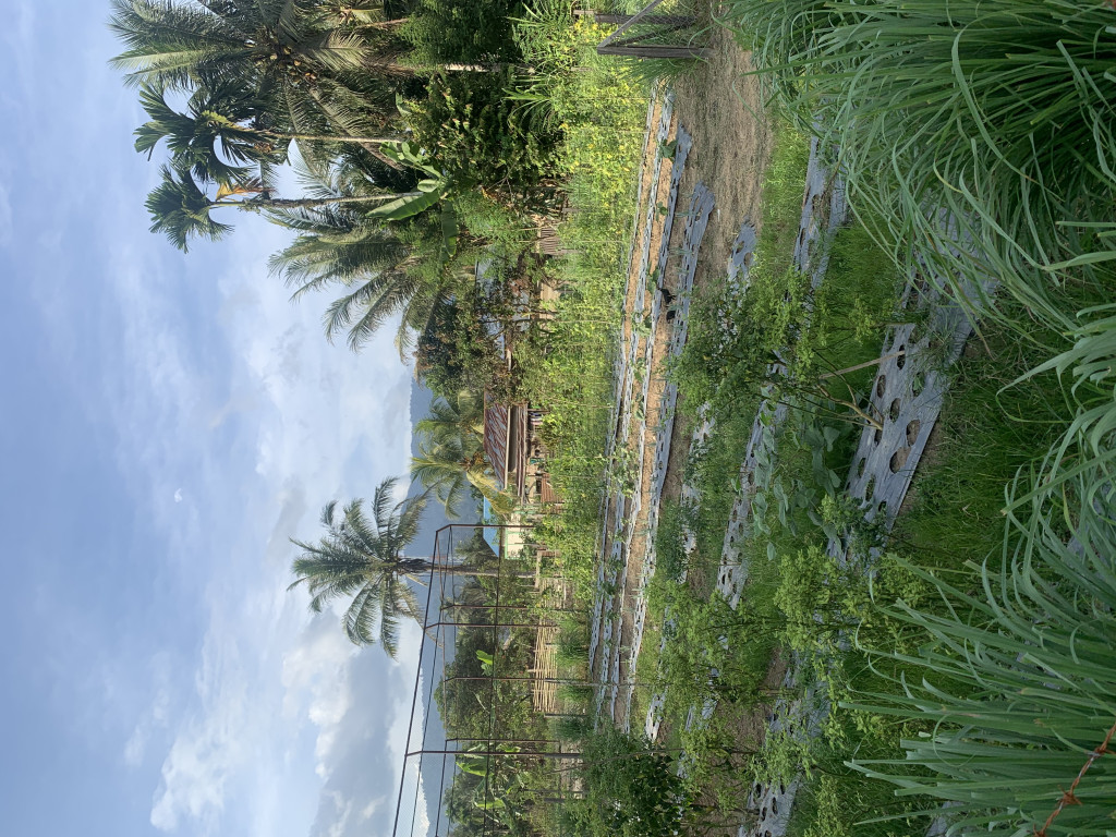 Toga perkebunan masyarakat gerpa